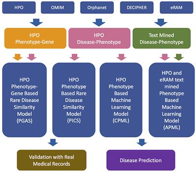 RDAD: A Machine Learning System to Support Phenotype-Based Rare Disease Diagnosis